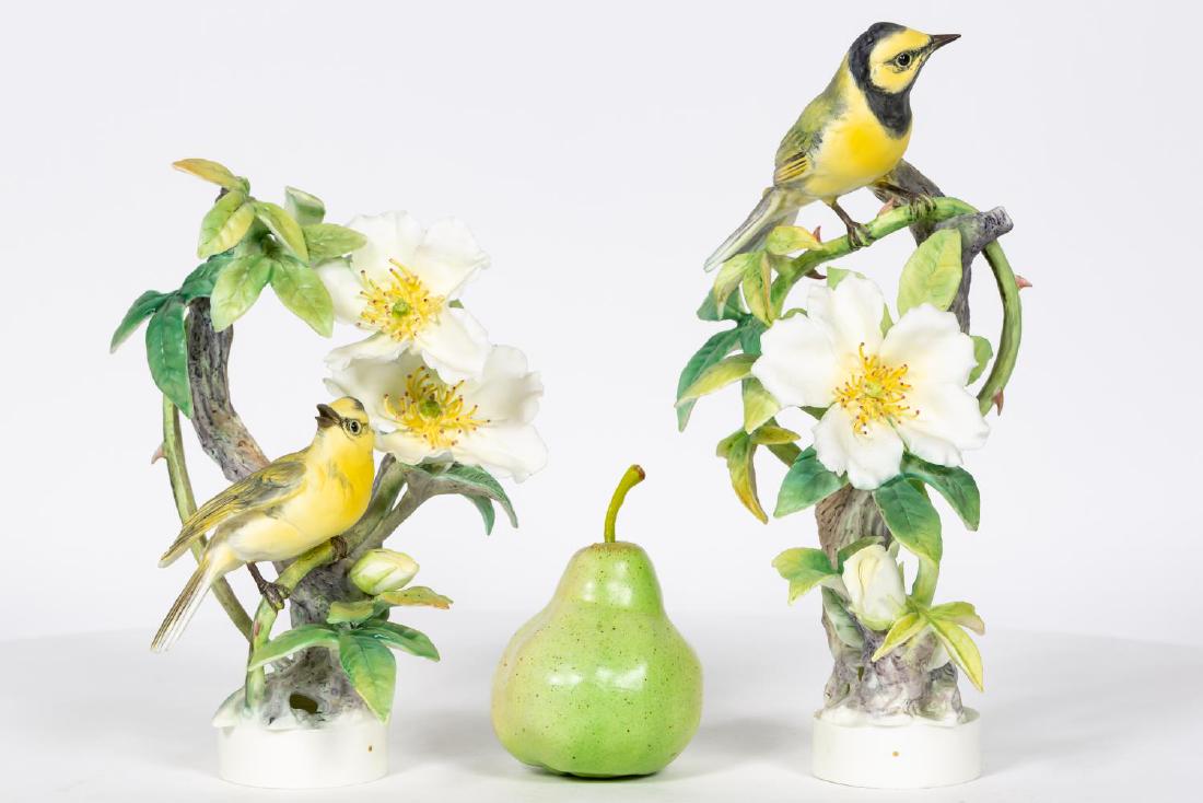 Pair, Doughty Hooded Warblers w/ Original Boxes (1 of 9)