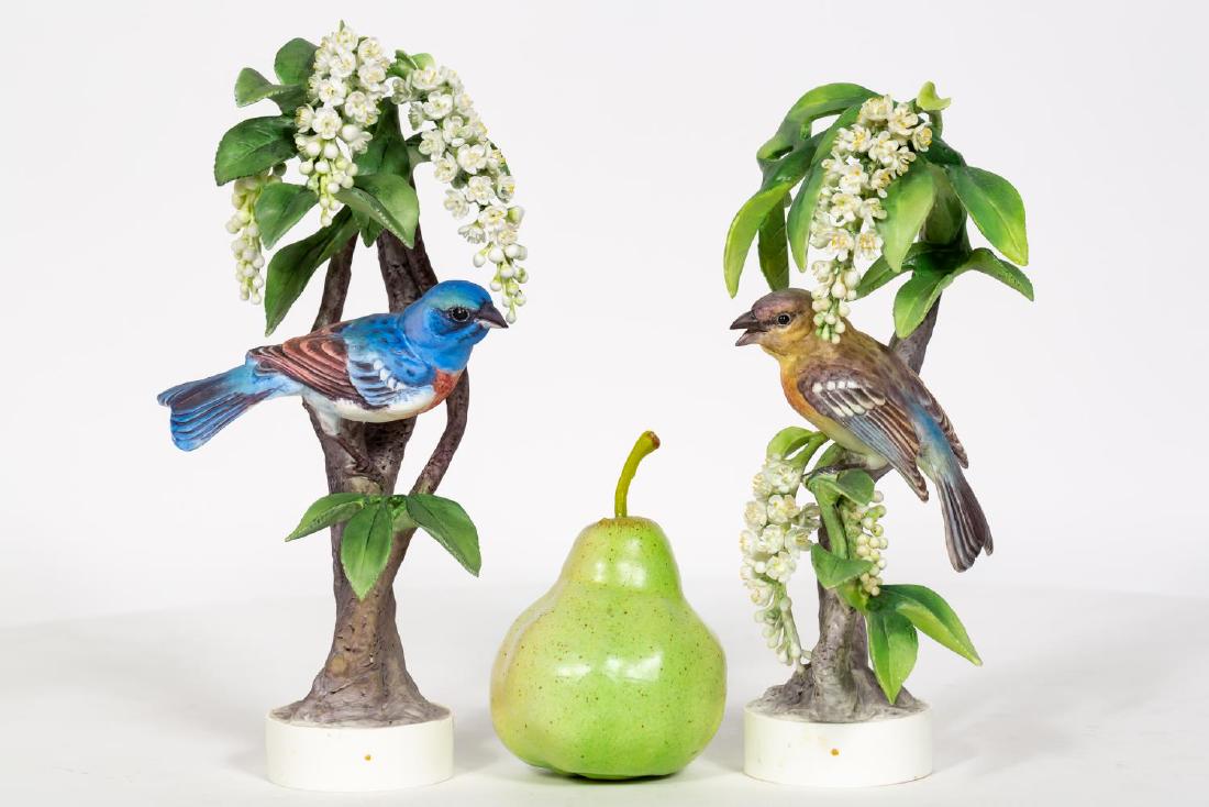 Pair, Doughty Lazuli Buntings w/ Original Boxes (1 of 9)