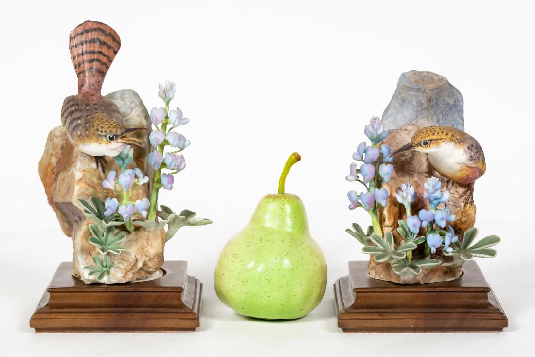 Pair, Doughty Canyon Wrens w/ Original Boxes (1 of 7)