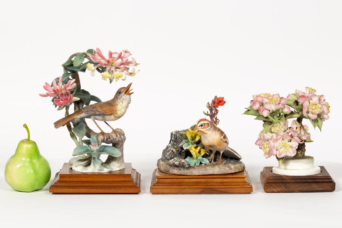 Three Dorothy Doughty Bird Figurines on Bases (1 of 9)