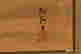 item-74500352=2