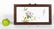 Chinese Porcelain Plaque Floral and Lady Bug - 2