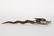 Walking & Hall, Ye Dragon Of Wantley Table Lighter - 4