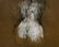 Kathleen Morris, Two Monotypes Bird and Figural - 4