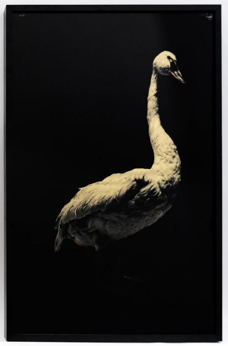 Todd Murphy "Goose" 21st Century Mixed Media: Todd Murphy (American (Georgia), b. 1962 -). "Goose" - 21st century, mixed media. A figural depiction of using gold fabric over straw and tulle behind painted Plexiglas Approx. 49.75" x 33.5" (frame).