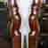 item-79826457=4