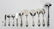 113 PC, TOWLE "KING RICHARD" STERLING FLATWARE SET - 11