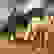 item-85207360=7