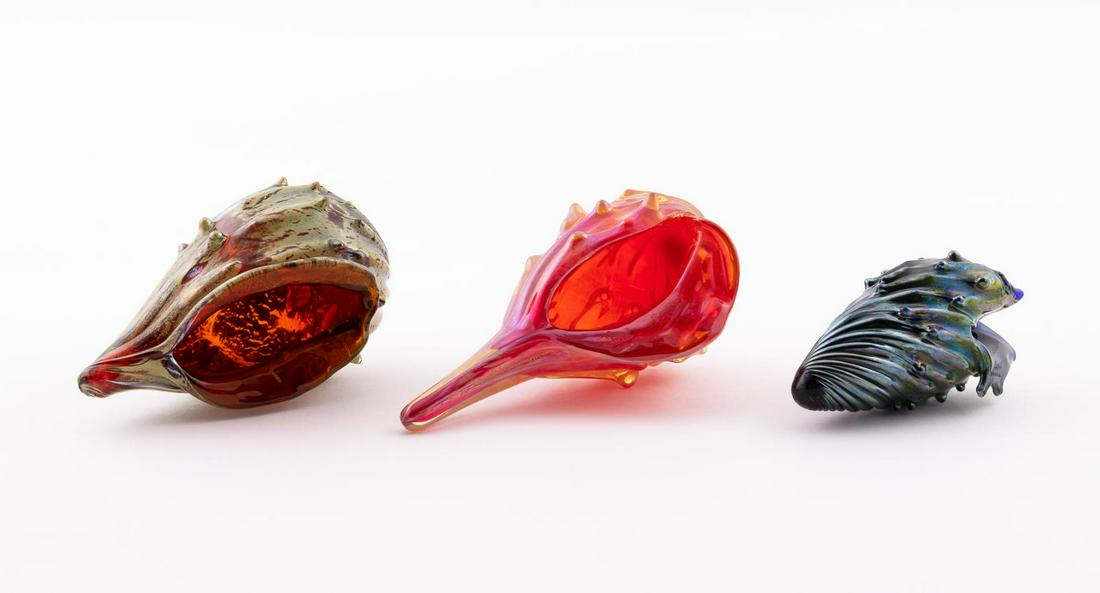 3 SEGUSO VIRO MURANO GLASS SHELL FORMS: Seguso Viro Co. (Italian), contemporary. Group of three hand blown Murano glass shells having twisted and spiked forms. Etched maker's mark on side. Approx. h. 3.25", w. 5.75", d. 3.5" (largest).