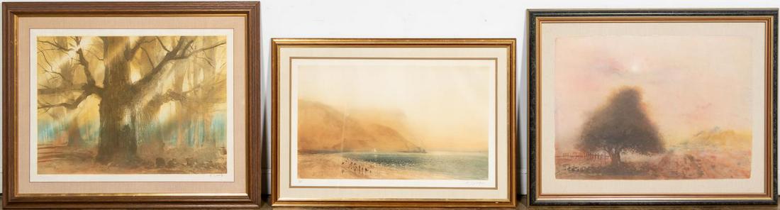 THREE KAIKO MOTI LANDSCAPE COLOR ETCHINGS, FRAMED: Kaiko Moti (Indian, 1921-1989). Three color etching landscapes. Each signed and numbered, one dated 1987.Largest 32.25" x 40" (framed), 24" x 32" (sight)