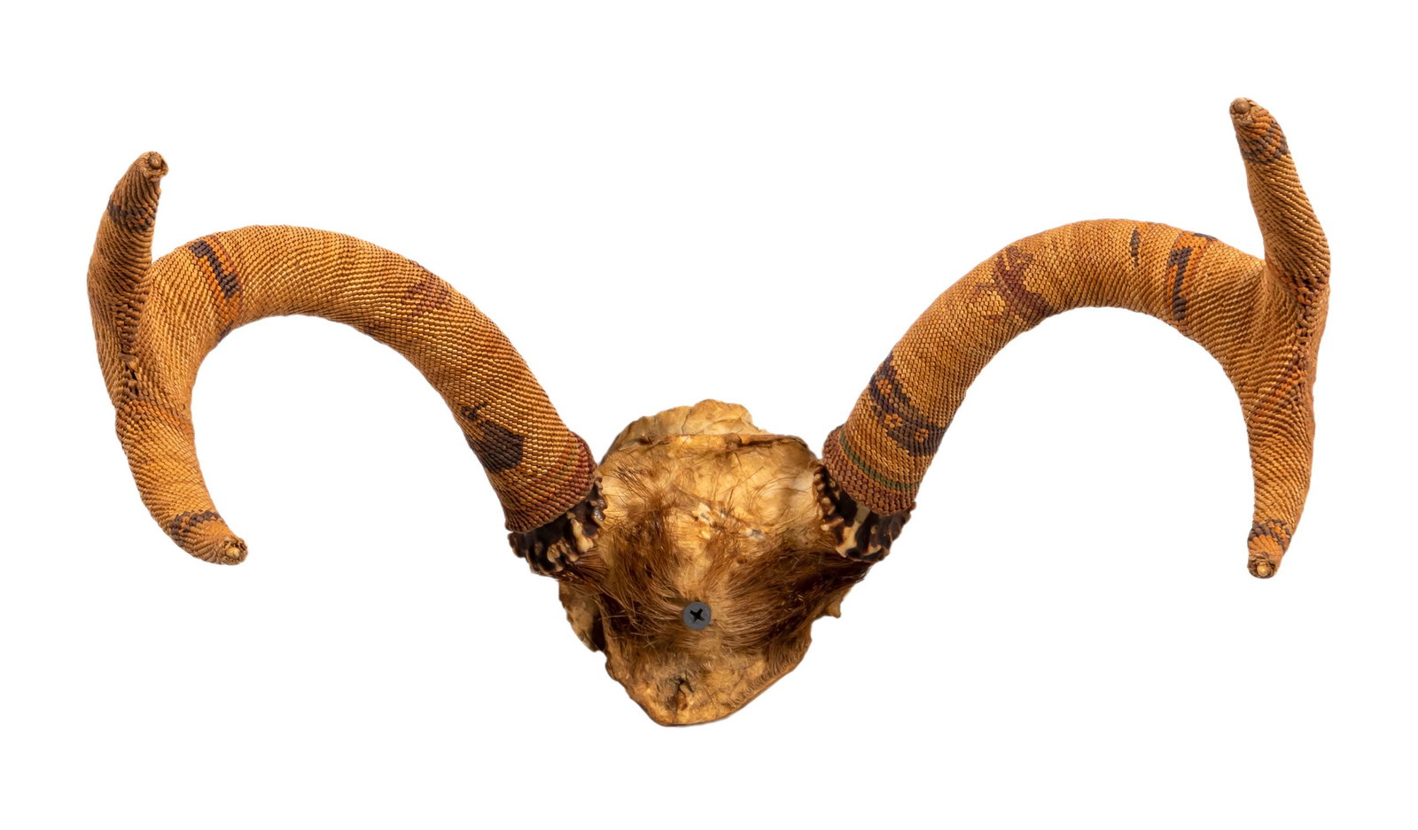 MAKAH DEER HORN ANTLERS, BASKET WEAVE COVERED: American, c. 1900. Northwest coast, likely Makah, deer antlers covered in "bear grass" having a tightly woven and multi colored pattern. Apparently unmarked. Approx. h. 11", w. 12.75", d. 7".