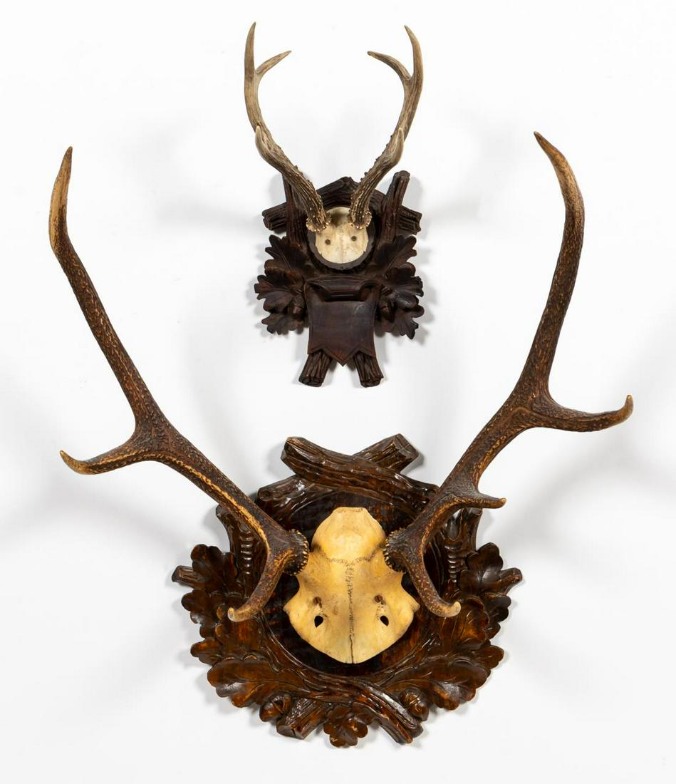 TWO BLACK FOREST CARVED ANTLER MOUNTS: Continental, late 19th/Early 20th century. Two antler mounts on Black Forest style carved plaques. Smaller inscribed "vater" on verso. Largest approx. h. 25", w. 20"