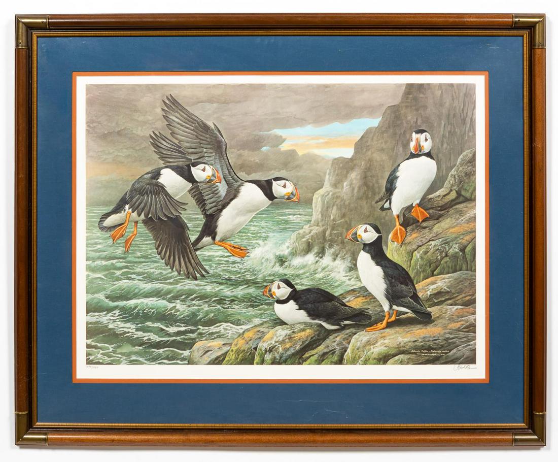 BASIL EDE, ATLANTIC PUFFIN, ORNITHOLOGICAL PRINT (1 of 5)