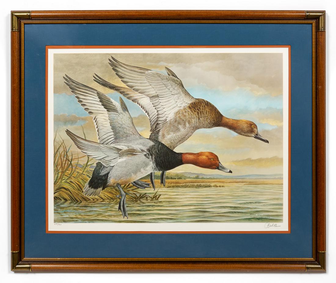 BASIL EDE, REDHEAD DUCKS, SPORTING LITHOGRAPH (1 of 4)