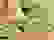 item-95454177=5