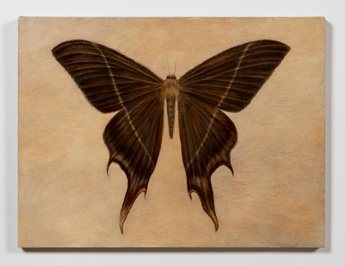 KATE JAVENS, "NAMED FOR WILLIAM BLAKE", BUTTERFLY: Kate Javens (American, born 1959). "Named for William Blake" -2005, oil on linen on panel. Signed, titled, and dated verso, Marcia Wood Gallery label verso. Note: Alumna of the Pennsylvania Academy of