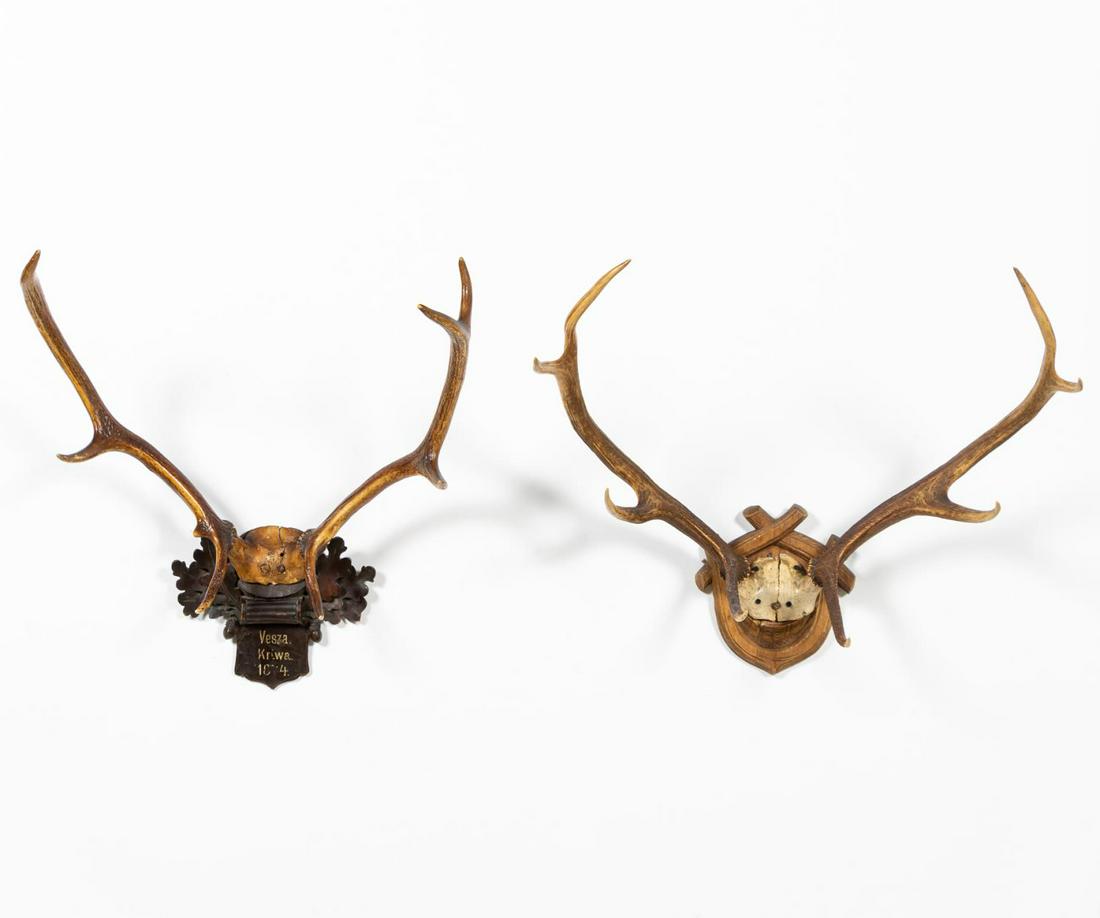 GROUP OF TWO 19TH C. BLACK FOREST ANTLER MOUNTS: German/Continental, late 19th century. Group of two deer antler mounts with Black Forest type plaques, one reading 'Vesza/Kriwa/1874'. Unmarked. Approx. of the largest, h. 26", w. 27.5", d. 15.5".