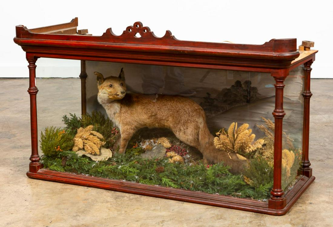 VICTORIAN TAXIDERMY FOX IN WOOD & GLASS DISPLAY: English, 19th century. Victorian taxidermy fox in large scale diorama glass case with carved wood frame. Apparently unmarked. Approx. h. 29", w. 48", d. 19.25".