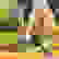 item-102437897=5