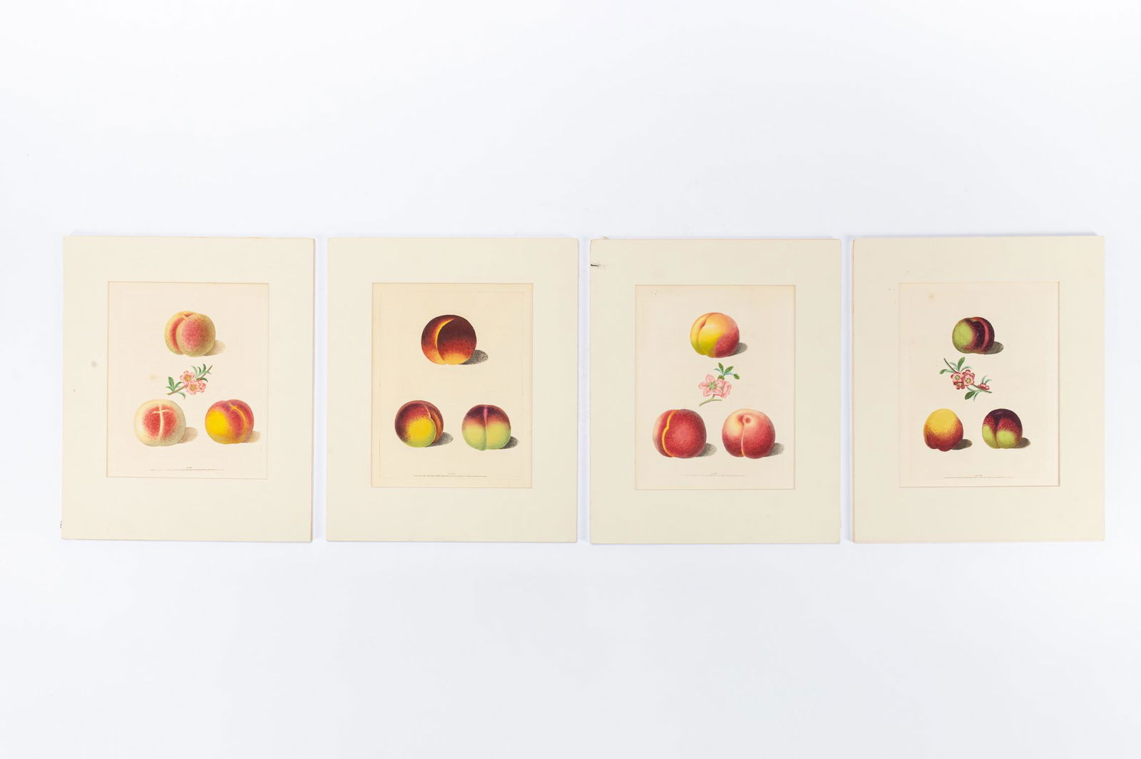 4 PCS, PEACH ENGRAVINGS, GEORGE BROOKSHAW, 1817 (1 of 6)