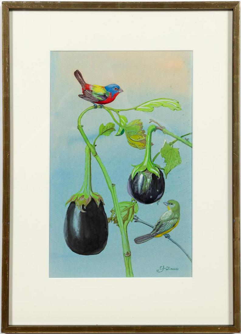 EDWARD VON S DINGLE, ORNITHOLOGY, PAINTED BUNTING (1 of 3)