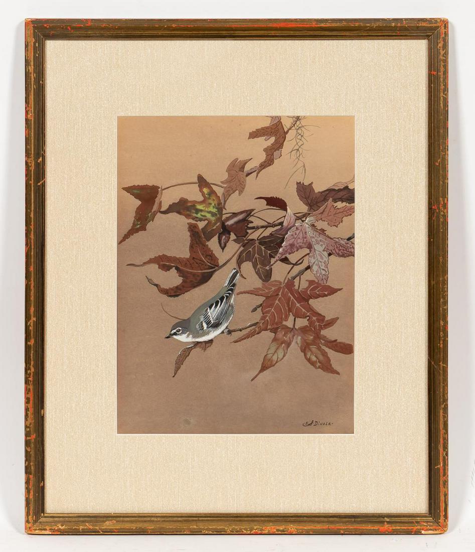 EDWARD DINGLE, BLUE HEADED VIREO & SWEET GUM, FRAM (1 of 5)