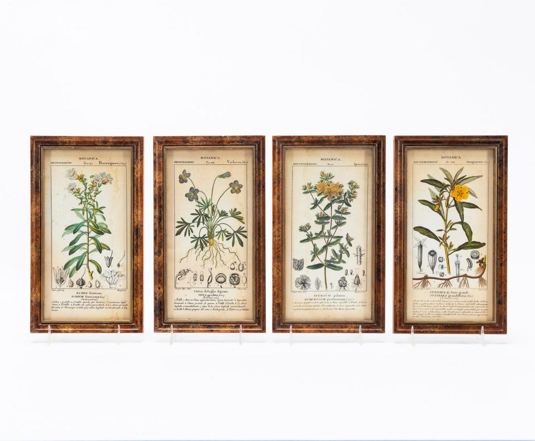 BOTANICAL PRINTS, MATCHING FAUX BURLWOOD FRAMES (1 of 5)