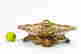 item-119394203=2