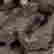 item-119396055=5