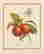item-122718036=12