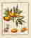 item-122718036=16
