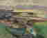 item-125142215=4