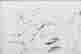 item-129027729=2