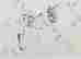 item-129027729=4