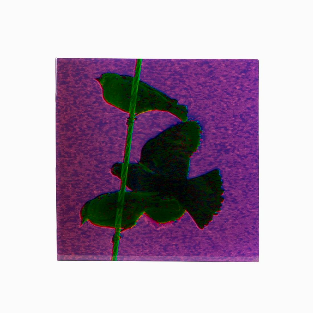 CORINNE ADAMS, GREEN BIRDS ON WIRE, M/M ON BOARD (1 of 5)