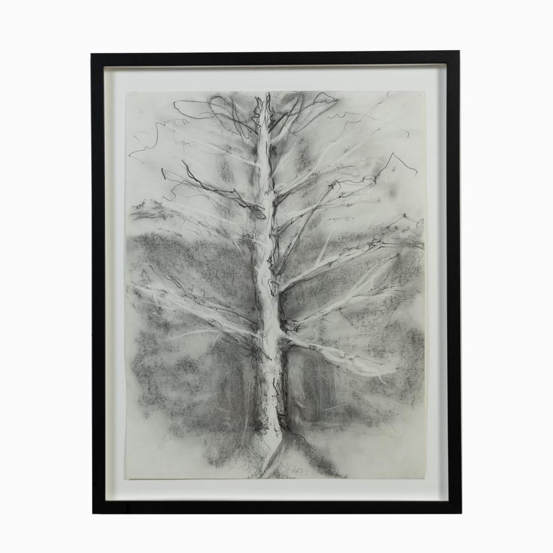 ANGUS GALLOWAY, CHARCOAL ON PAPER, "TREE": Angus Galloway (American active early 21st century), drawing executed in charcoal on paper, having no apparent signature. Provenance: From the Private Collection of Ruth West, Atlanta, Georgia. Sight 