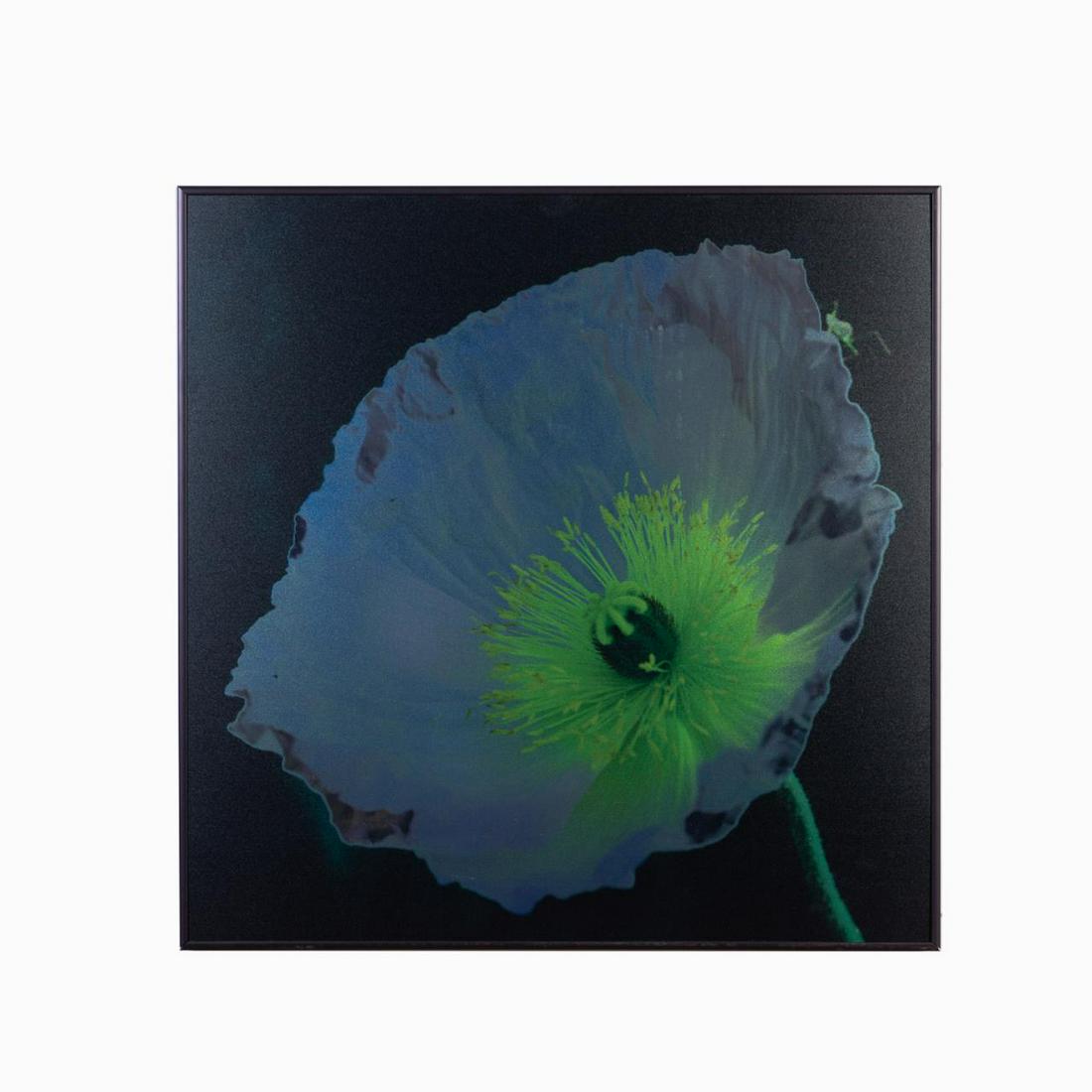 BETTY EDGE, "METALLIC BLUE POPPY" FLORAL PRINT, 07 (1 of 4)