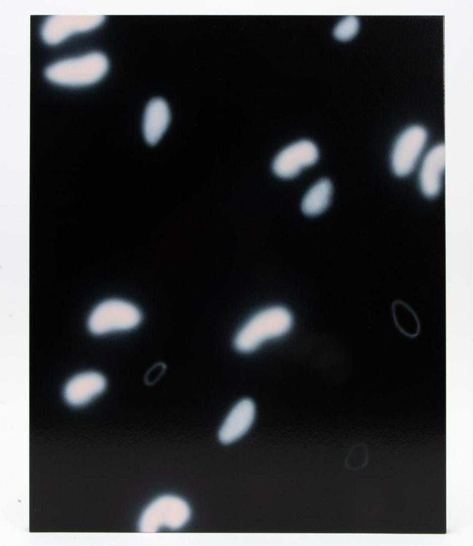 MICHAEL GIBSON, WHITE DOTS ON BLACK PANEL, 2002: Michael Gibson (American/Georgia, 20th/21st century), "Truth Seeker 0.05", 2002, abstract white dots on black background, enamel on masonite, signed, dated, and titled en verso, unframed. Provenance: