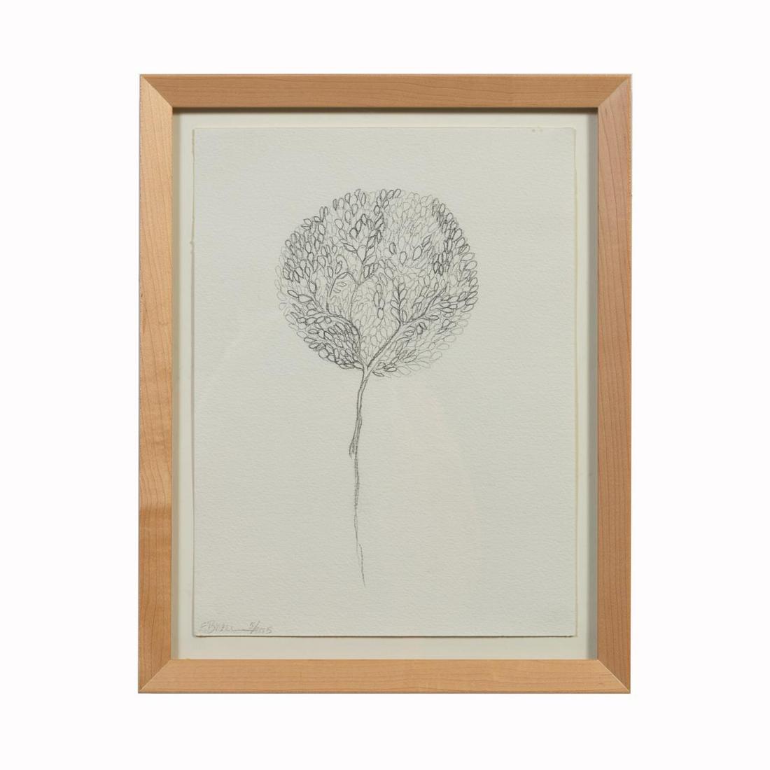 BRAER, "DANDELION" PENCIL ON PAPER, 2015: E. Braer (American), "Dandelion" 2015, drawing of a flower, pencil on paper, signed and dated lower left, framed. Provenance: From the Private Collection of Ruth West, Atlanta, Georgia. Approx. h. 14.