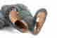 item-129027965=4