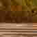 item-129030737=4