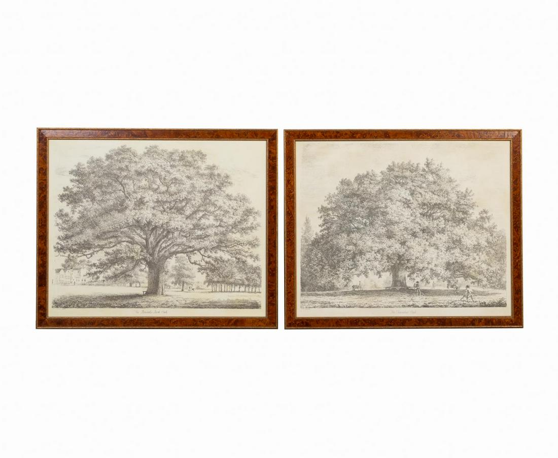 PR., AFTER J.G. STRUTT, TREE PRINTS IN BURL FRAMES (1 of 6)