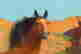 item-129030933=4