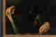 item-129032788=4