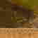 item-129032789=3