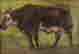 item-129032790=3