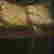 item-129032806=2