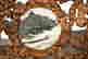 item-133452521=5
