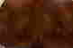 item-133474747=7