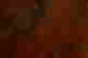 item-133474747=8